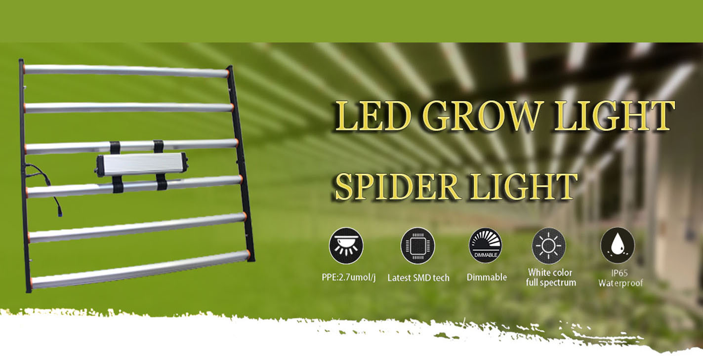LED Plant Cabinet