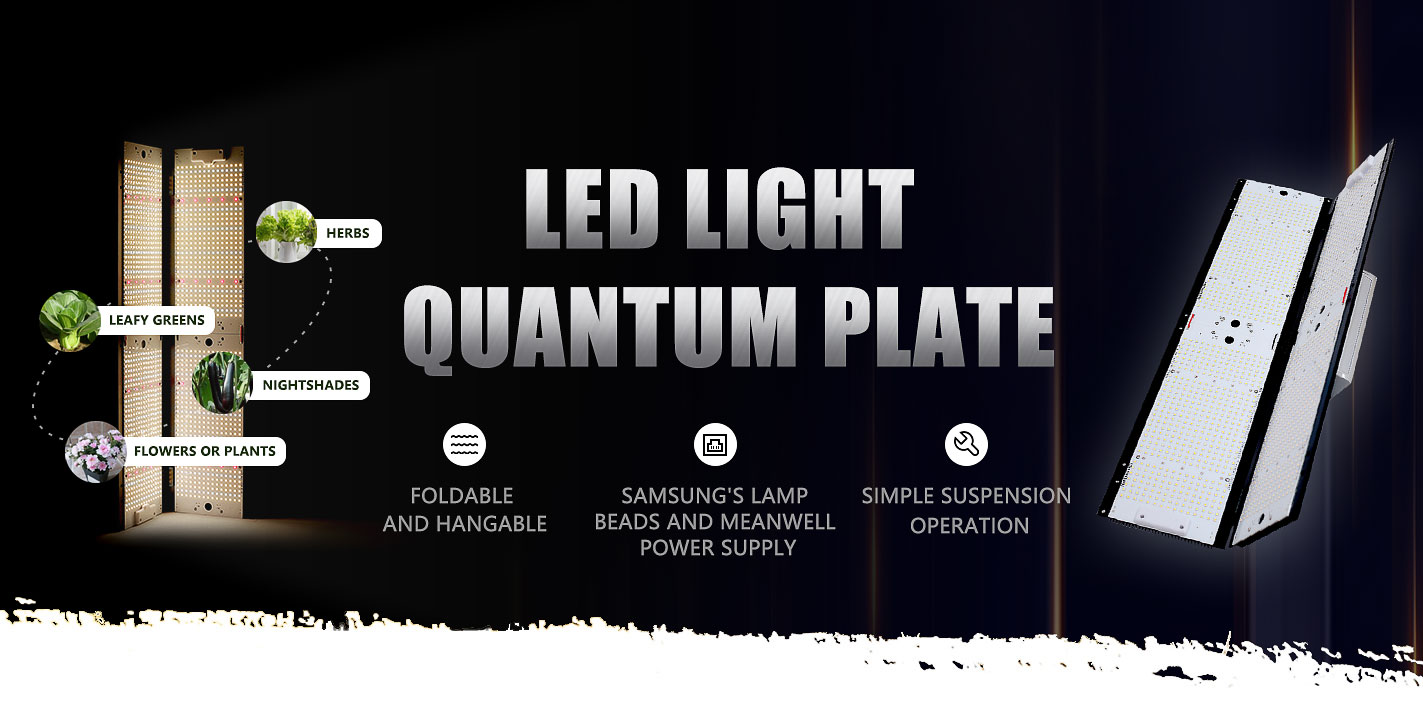LED Light Quantum Plate