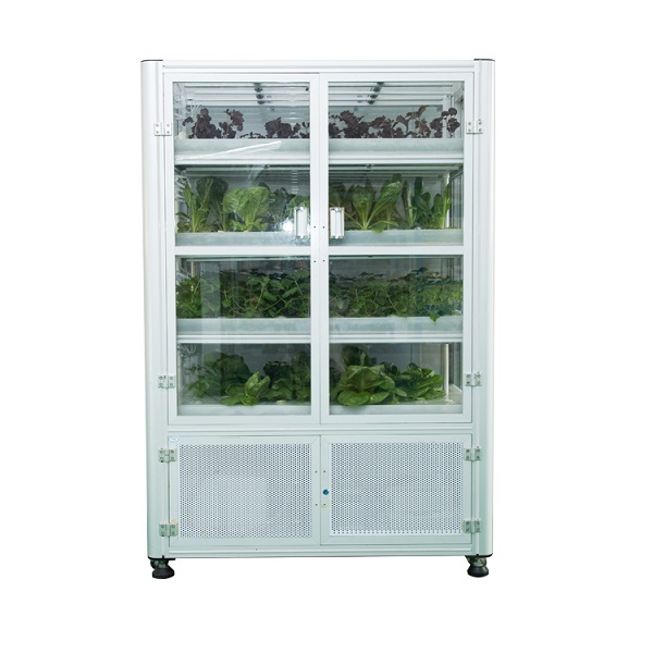 LED plant cabinet indoor vertical hydroponic grow kit