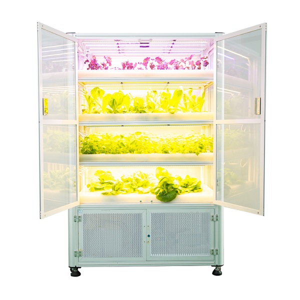 LED plant cabinet indoor vertical hydroponic grow kit