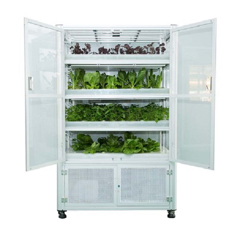 LED Plant Cabinet Indoor Vertical Hydroponic Grow ...