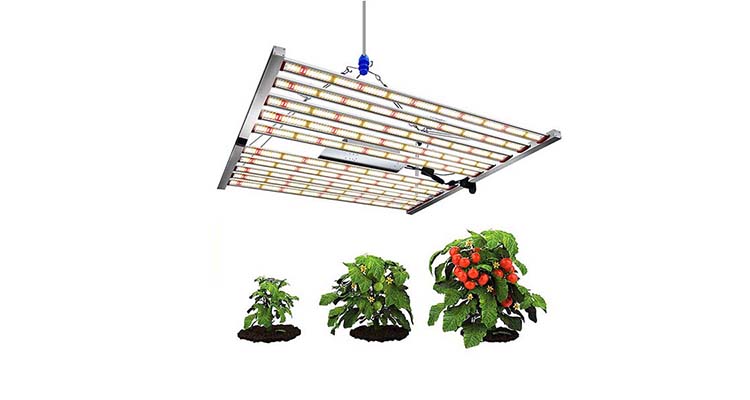 Knowledge about plant lights