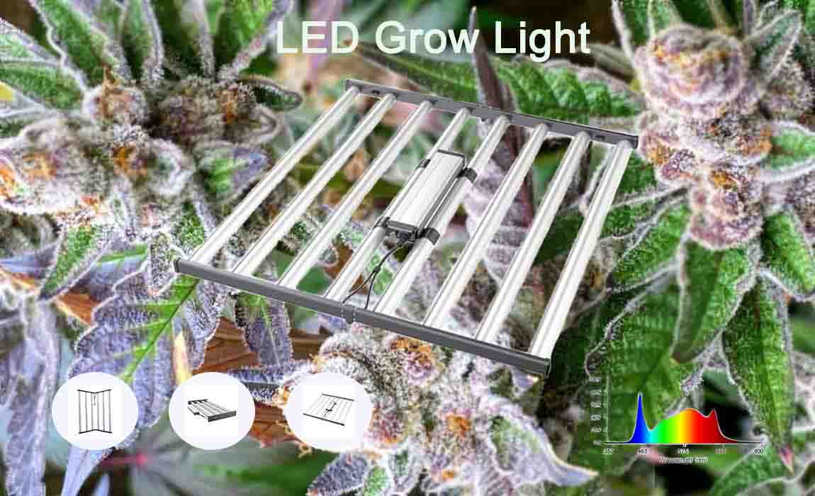 650w LED grow light full spectrum led lights