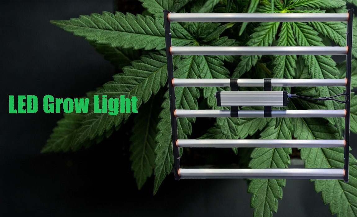 770w LED grow light for indoor plants