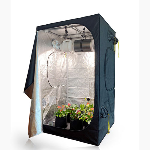 Do You Need a Home Planting Tent？