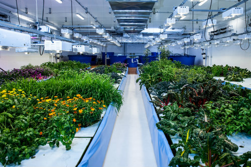 LED plant lighting is a mature development of artificial intelligence