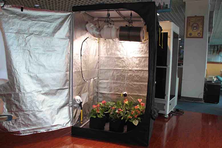 72 grow tent Effect Structure