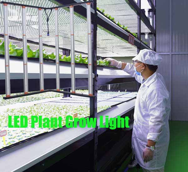 LED plant lights, lighting equipment and cultivation methods