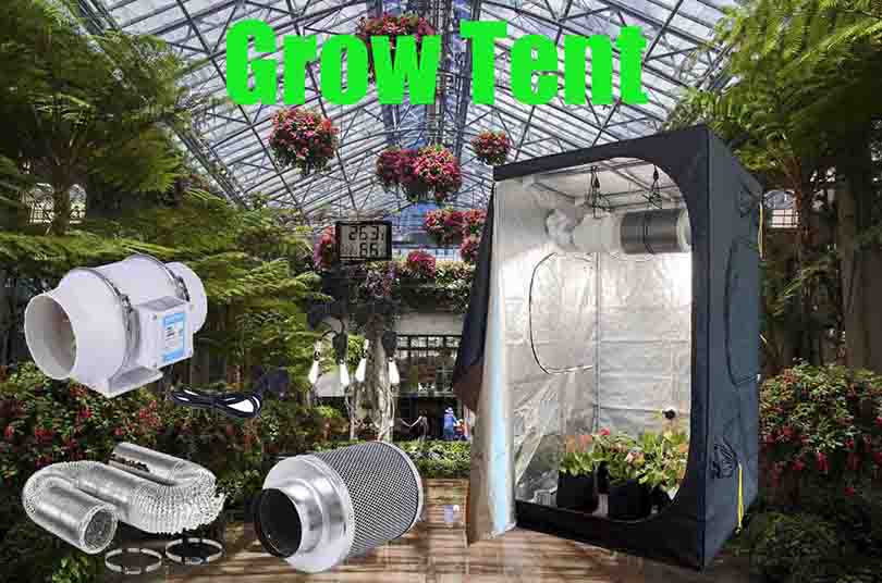 Best beginner grow tent kit system to increase cannabis production